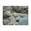 No Frame Print on Canvas-889551614