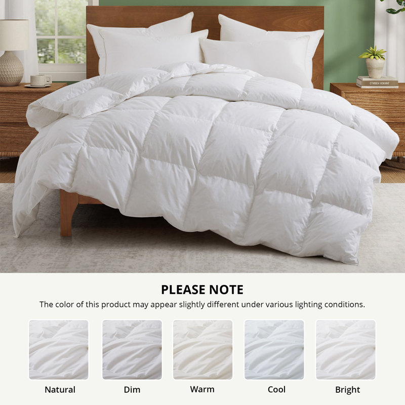 Insertion de couette en duvet d'oie toutes saisons avec housse de couette 100% coton 300TC, Très grand lit, White