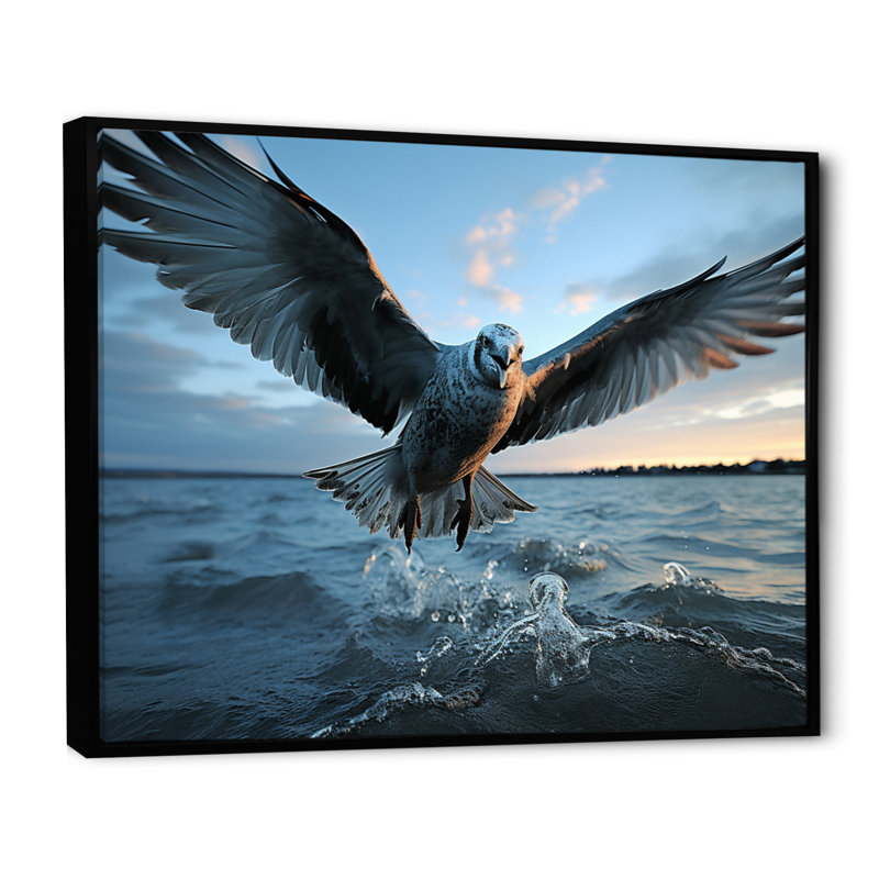 «Coastal Seabird Rising», reproduction sur toile, Cadre flottant noir, H 30 po x l 40 po x P 1,5 po