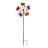 Plants & Flowers Rotator