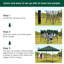 Brunston 3 x 3m Metal Party Tent-77301838