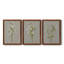«White Field Flowers I», ensemble de 3 peintures sur toile encadrées-245800527-245800522
