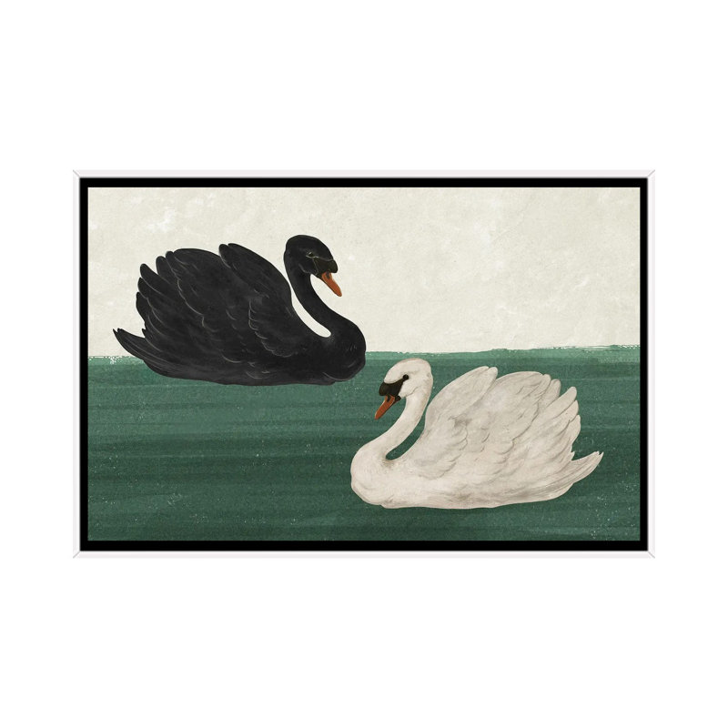 Cygne noir cygne blanc_1PC6, Cadre flottant blanc, H 32 po x l 48 po