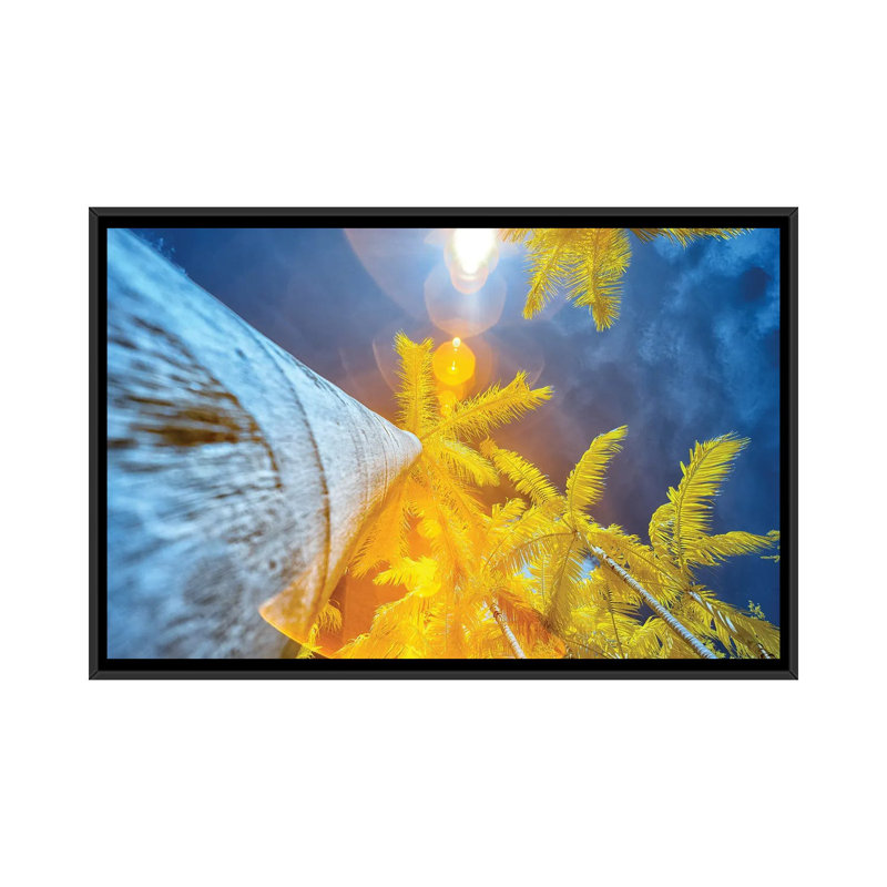 Palm Tree II by Glauco Meneghelli - Floater Frame Print on Canvas