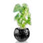 Handmade Pot Planter-52454951