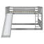 Lit superposé double au-dessus de double avec échelle avec glissade, gris-388416449