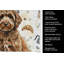 Serviette de cuisine Espagnole Water Dog-1234933872