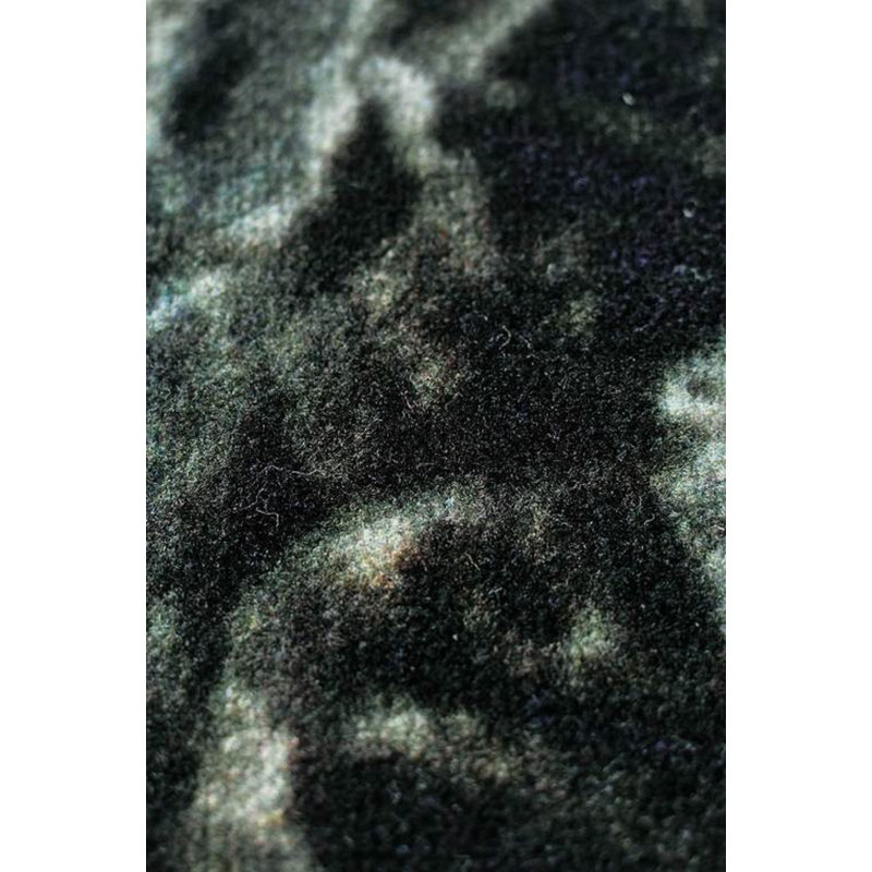 Bruster 200cm X 300cm Area Rug