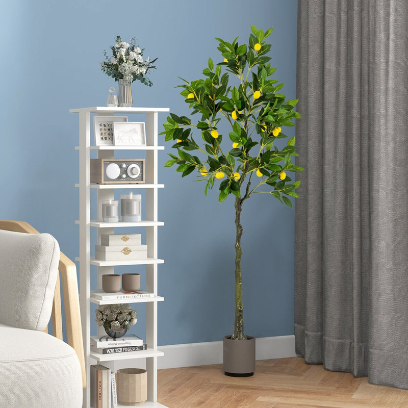 Angellyna 160cm Plant