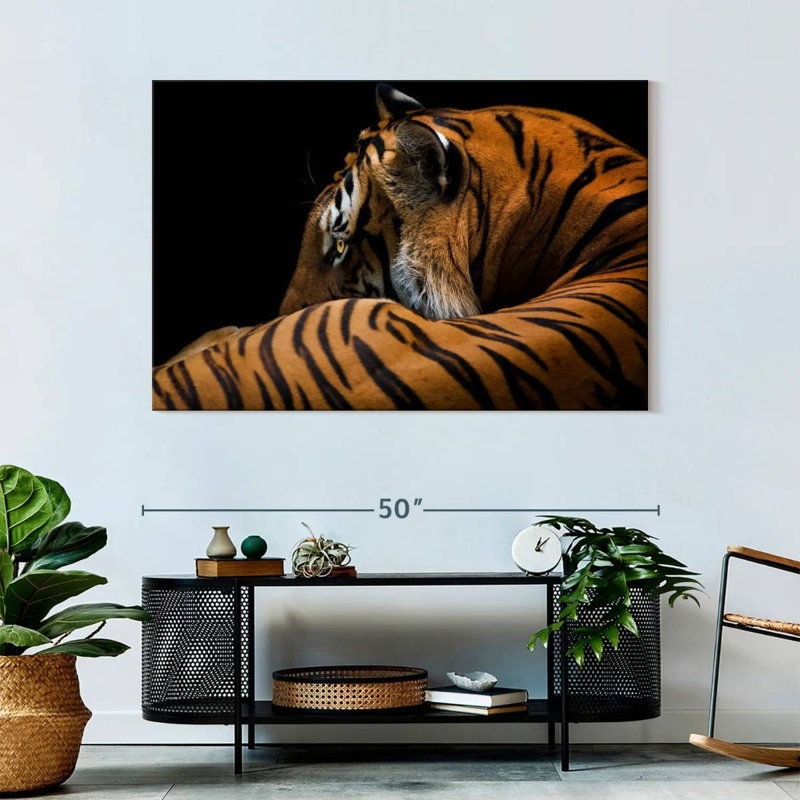 Brampt Majestic Tiger