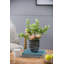 Vase de table en verre Abels-1503765805