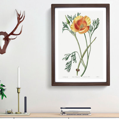 Orange California Poppy - Picture Frame Painting Print