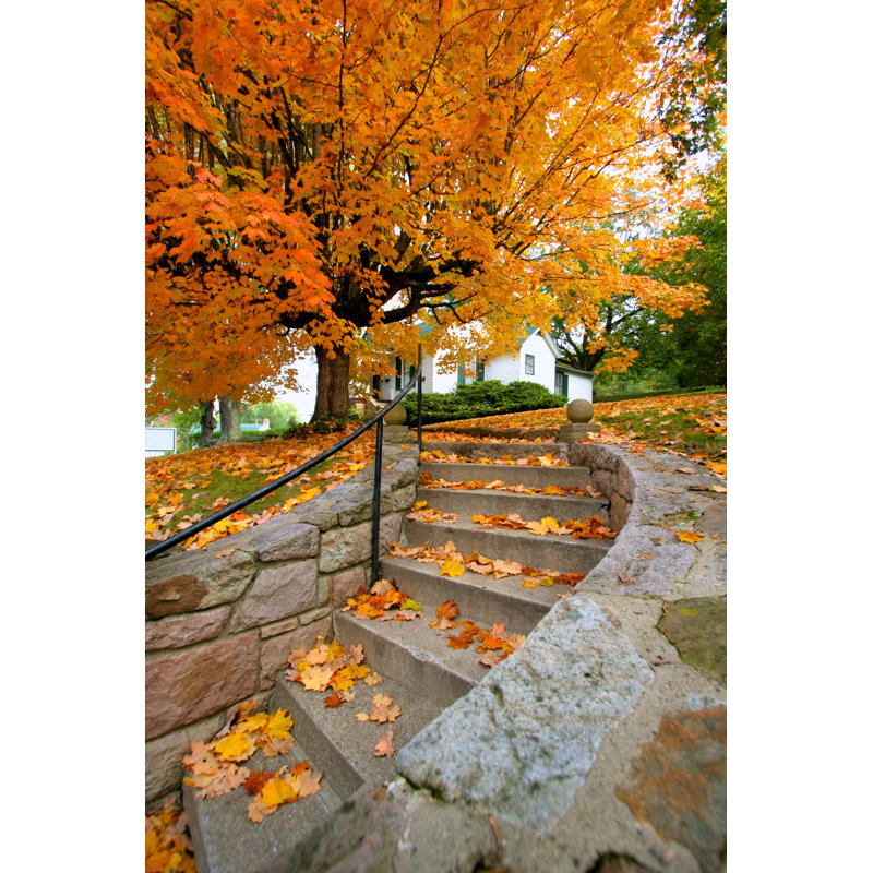 Lindia Fall House par Entropyworkshop, H 48 po x l 32 po