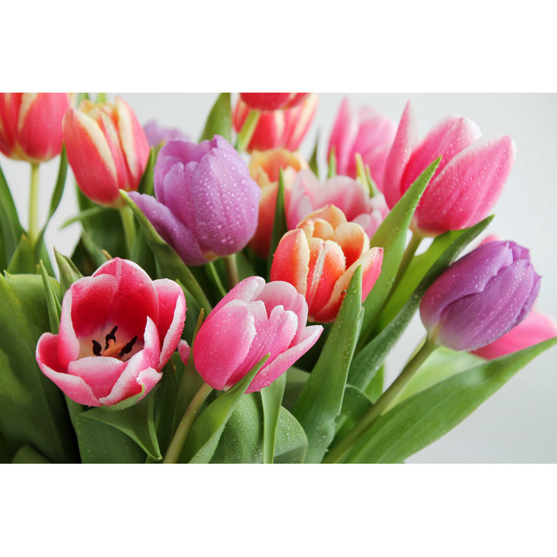 Tulipes Bouquet - Photographie sur toile tendue, H 8 po x l 12 po