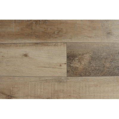 Dyno Exchange Compass 5.5 mm Thick 7.2 " W x 48 " L Oak Vinyl plank