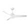 Karlovy 52'' Ceiling Fan with LED Lights