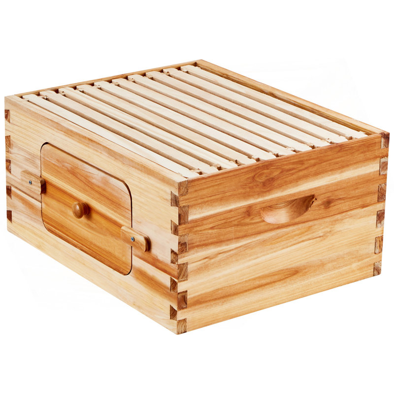 Trousse de démarrage Bee Hive, boîte en bois de cèdre naturel enduit de cire d'abeille, trousse de ruche Langstroth avec 10 cadres et fondations, fenêtres en acrylique transparentes pour débutants et apicoles