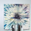 « white burst fleuri » par parvez taj,, reproduction d’art sur toile tendue-19740676