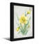 Plantes et fleurs, jonquille, aquarelle-1908751285-1908751286-1908751287