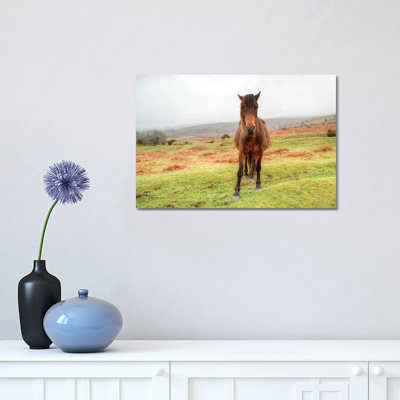 Stare Down by David Gardiner - Wrapped Canvas Print