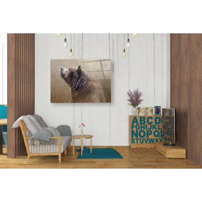 «Big Bear» par Karen Smith, art mural en verre acrylique