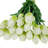 Tulip Arrangement
