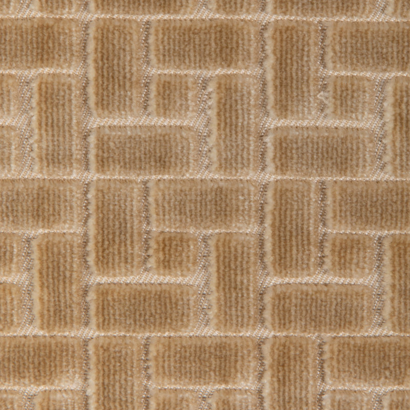Fieldstone Velvet, Cream