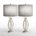 Polished Nickel/Gray Shade