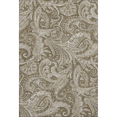 3' X 5' Chocolate And Ivory Paisley Washable Area Rug With UV Protection
