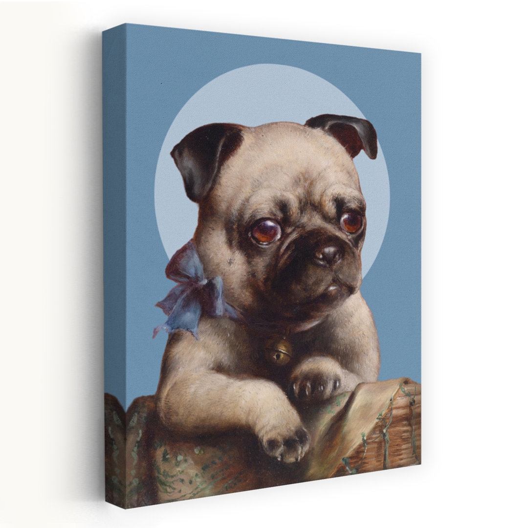 Cute Pug Puppy Contemporary Dog Wall Art Print