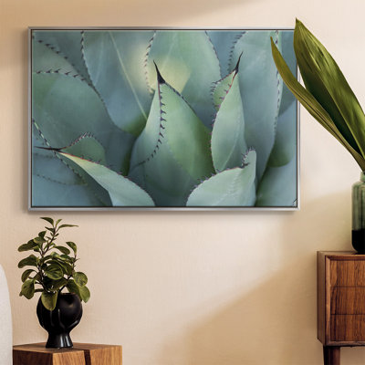 Blue Agave I, reproduction d'art sur toile