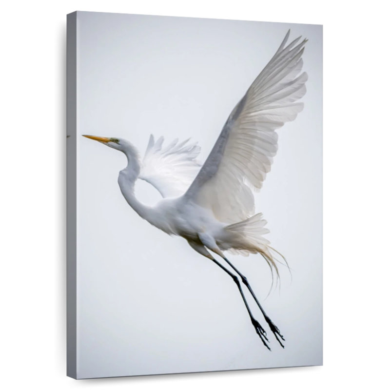 Brampt Angelic Great Egret, 51" H x 34" W