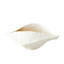 Porcelain Pod-Matte White-Sm-1043180909