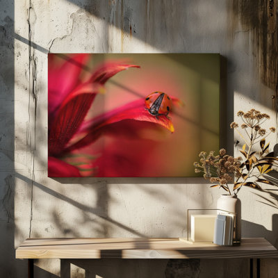 1 Piece Wrapped Canvas Wall Art