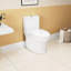 Floor Mounted Ceramic Toilet, 1.1/1.6 , Elongated Comfort Height, White, Soft Close Seat, & Approved One Mounted, Ceramic,