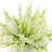 Heather Holiday Floral Arrangement
