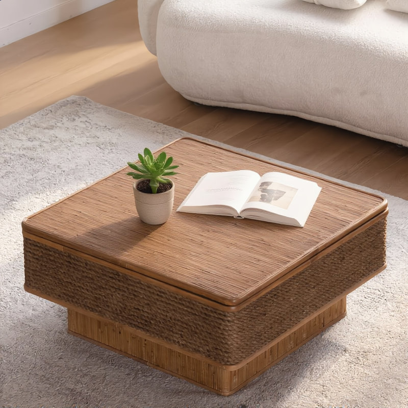Table basse avec fonction de rangement réglable
