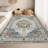 Machine Washable Area Rug Vintage Area Rugs Non Slip Backing Distressed Carpet for Living Room Kitchen Entryway-225642318-225642320