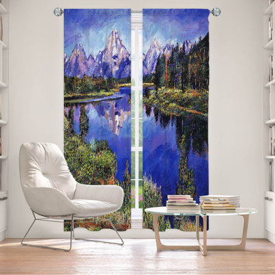 Delaughter Room Darkening Curtains / Drapes Pair
