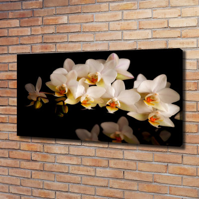 Orchid - Wrapped Canvas Print