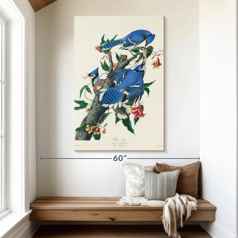 Brampt Blue Jay, 51" H x 34" W