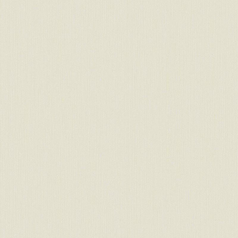 Rouleau de papier peint uni Designer Colors