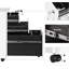 Suveer 30 cm W 2 -Drawer Filing Cabinet-572583572