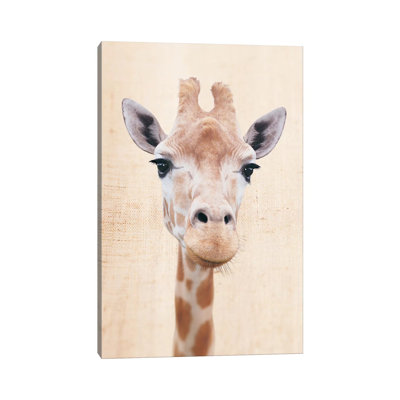 Manyara 1 Piece Wall Art on Canvas