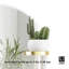 Miroir d'appoint