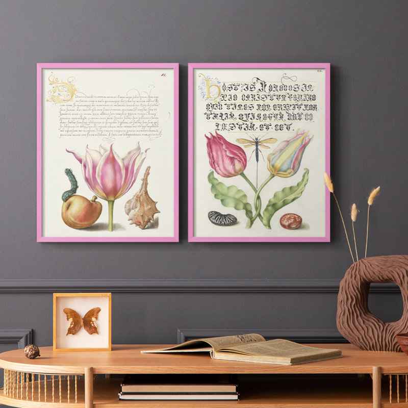 Reproduction encadrée Hoefnagel Tropical Specples IV-Premium - prête à être accrochée - aucun clou requis - aucun clou requis
