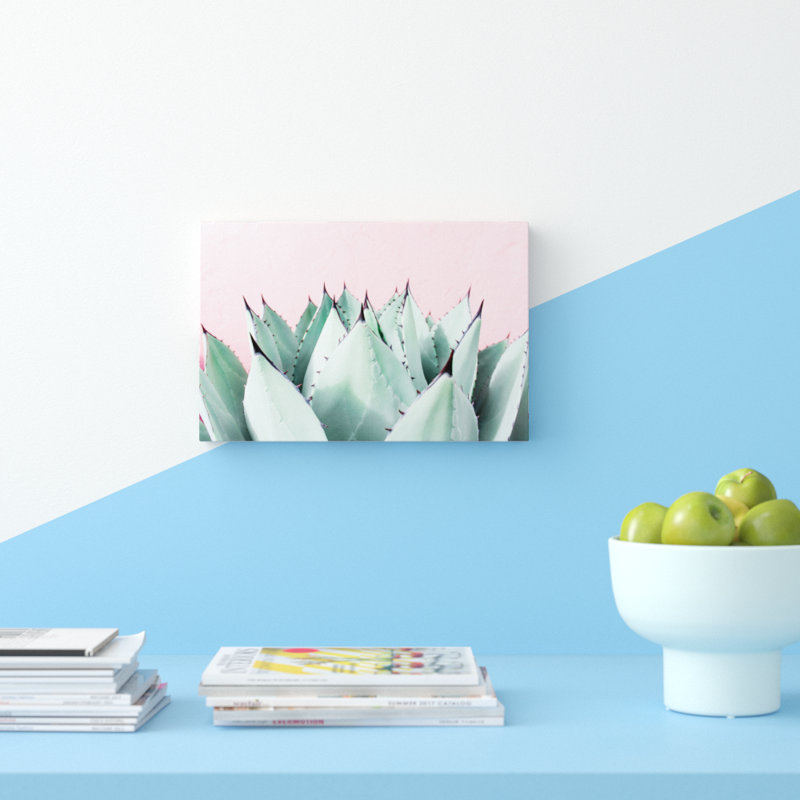 Abdirazaq Sweet Succulents - impression sur papier, H 12 po x l 18 po x p 1,5 po, Toile tendue