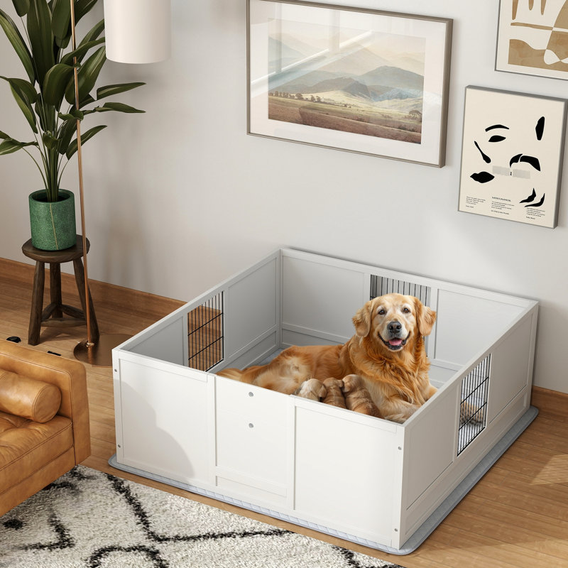 Grande boîte de mise bas pour chien avec coussin imperméable - stable, entrée réglable, caisse en bois de pin blanc et imperméable, L 48,8 po x l 47,2 po H 18,9 po
