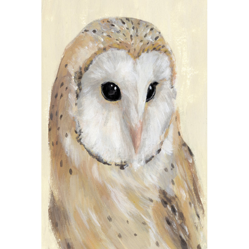 Common Barn Owl II by Annie Warren - Painting, 30cm H x 20cm W, Wrapped Canvas