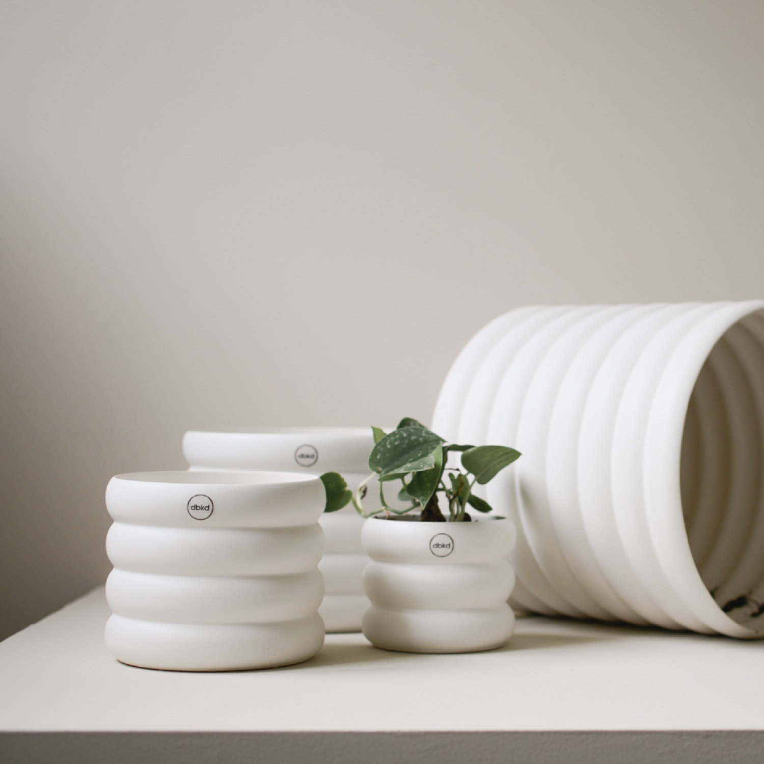 Adalai Ceramic Table Vase, 5.12" H x 5.51" W x 5.51" D